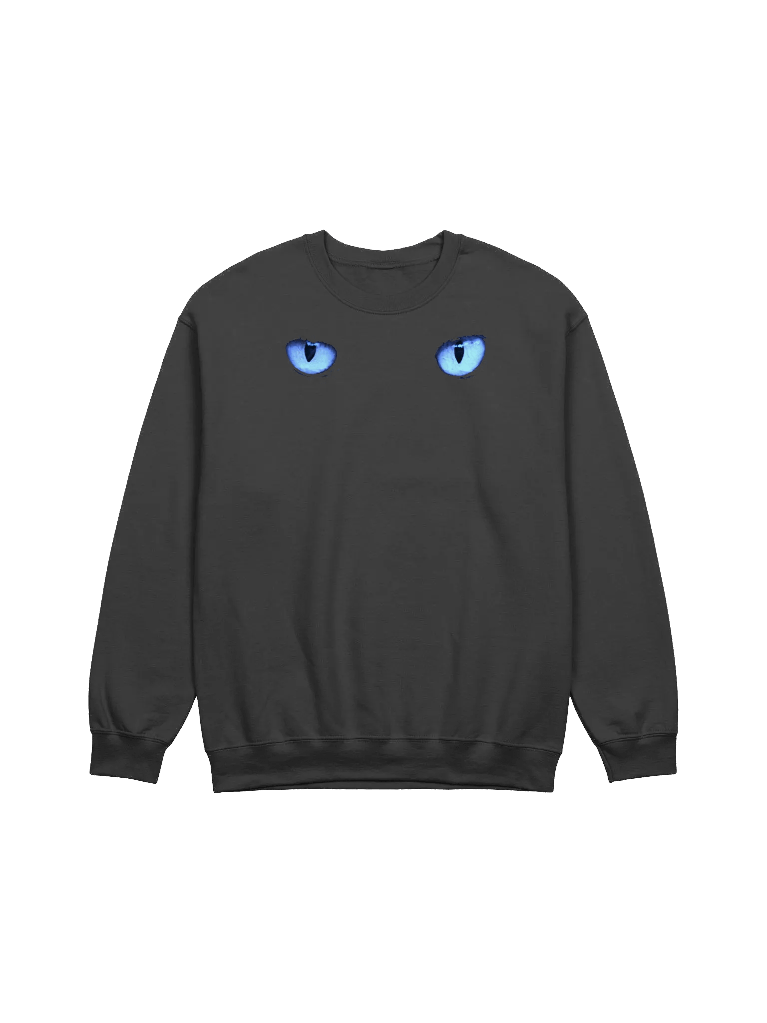CAT EYES BLUE SWEATSHIRT product image (1)