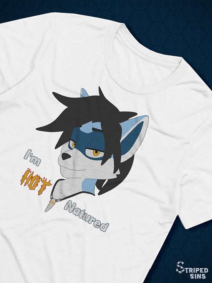 Felix | Triblend T-shirt | Quote #1 product image (1)