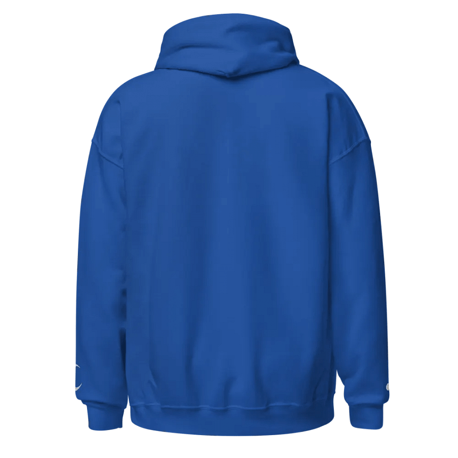 Embroidered "SabaSphere" Hoodie product image (2)