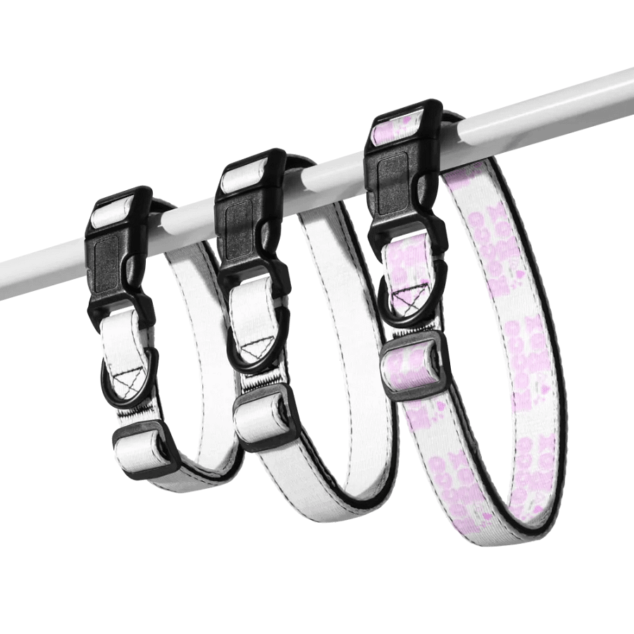 RoccoRox Dog Collar Size Large product image (9)