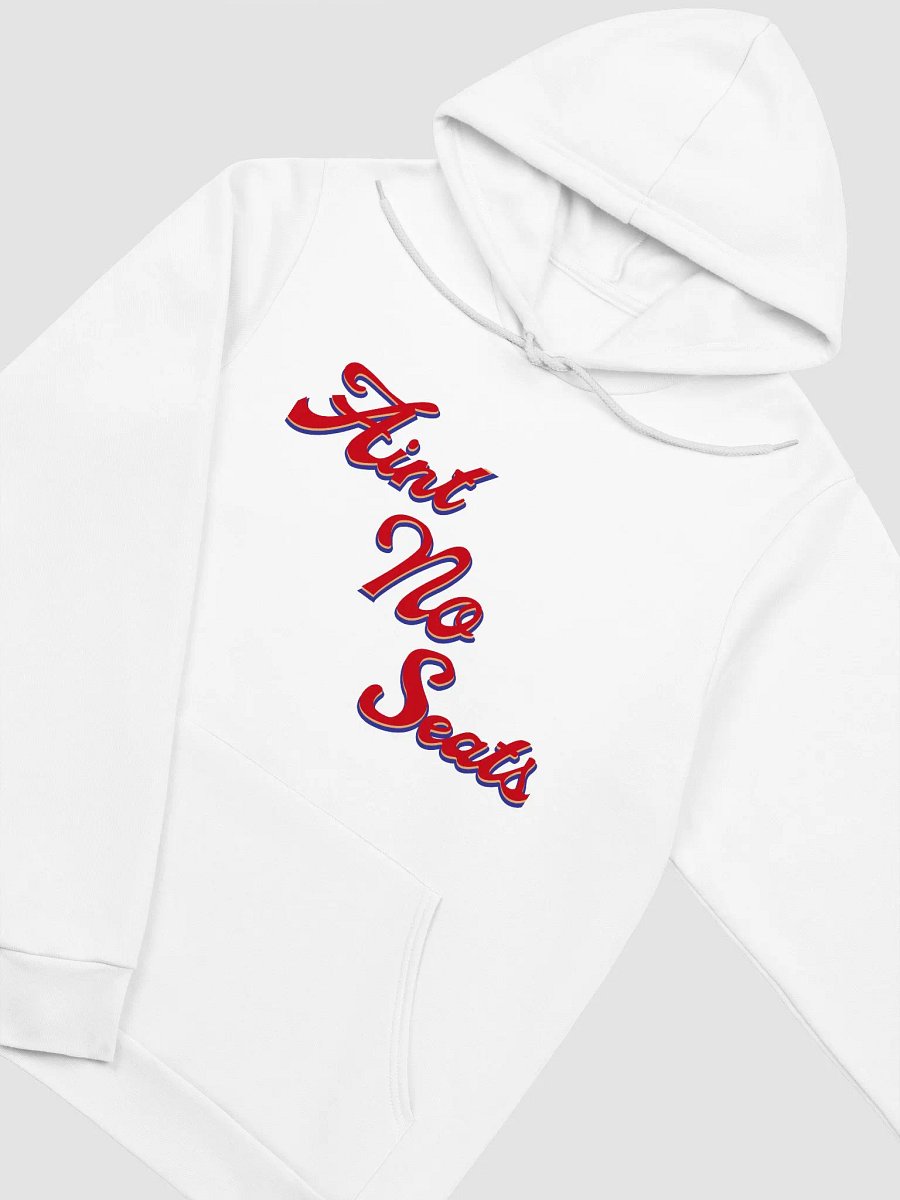 Ain't No Seats Hoodie product image (3)