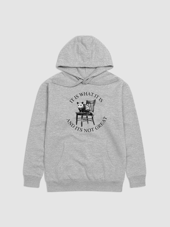 It Is What It Is Pullover product image (1)