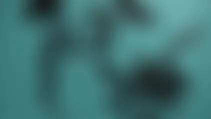 Utter Chaos (DEMO)