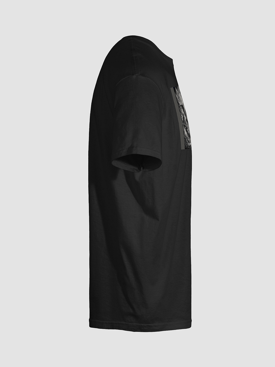 Dragon 10 product image (20)