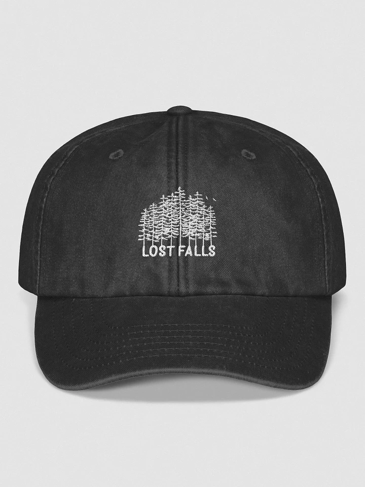 Lost Falls Hat (Embroidered) product image (5)