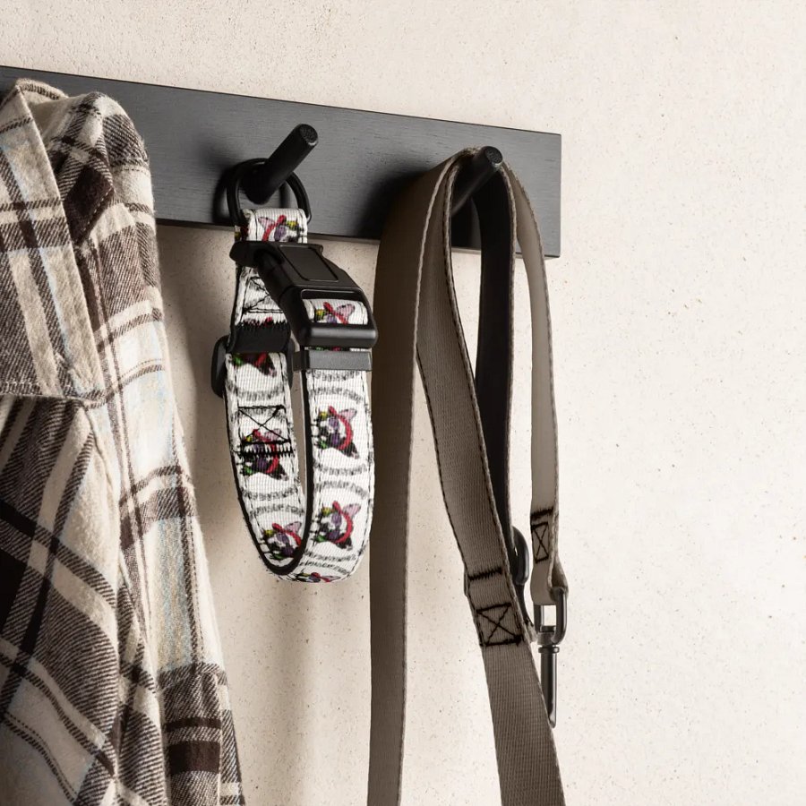 Lou's Sesh Spot Pet Collar product image (6)