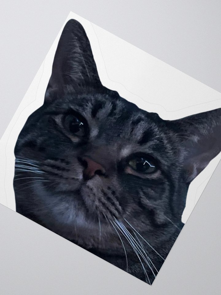 Chewie Sticker product image (5)
