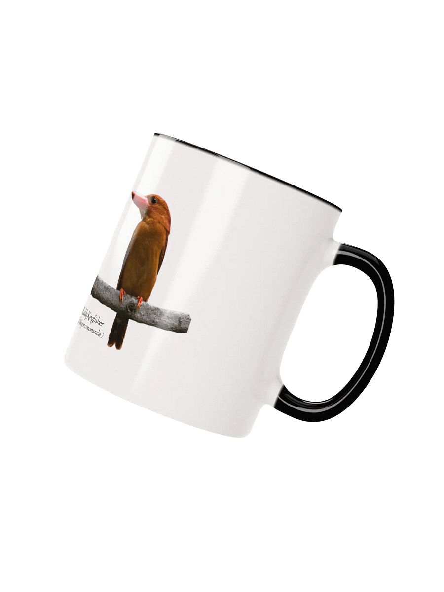 Ruddy Kingfisher mug product image (15)
