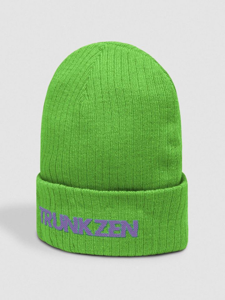 TrunkZen Beenie product image (14)