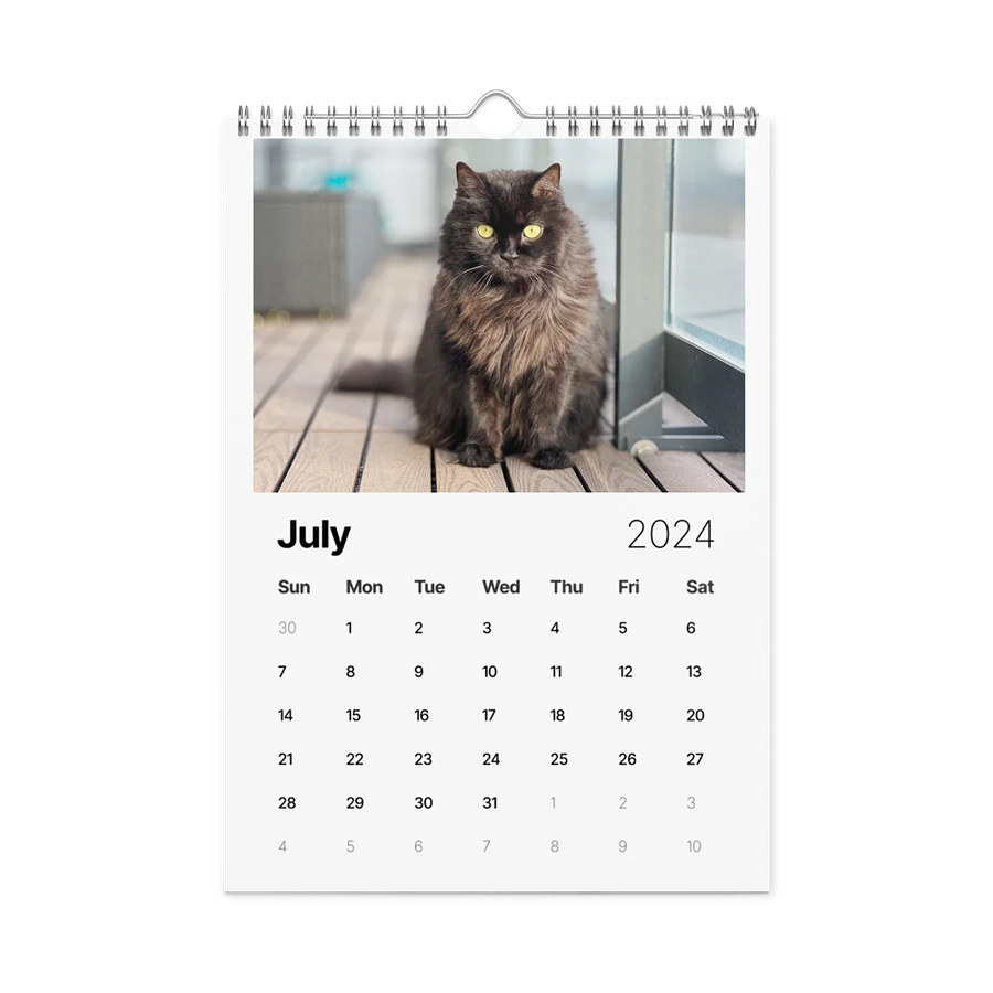 The 2024 ShoKo Cat Calendar product image (10)