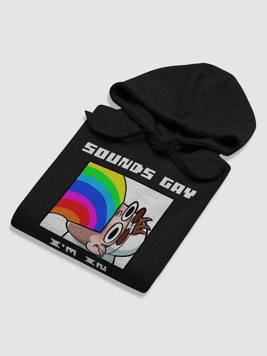 Sounds Gay I'm In Alt Premium Hoodie product image (3)