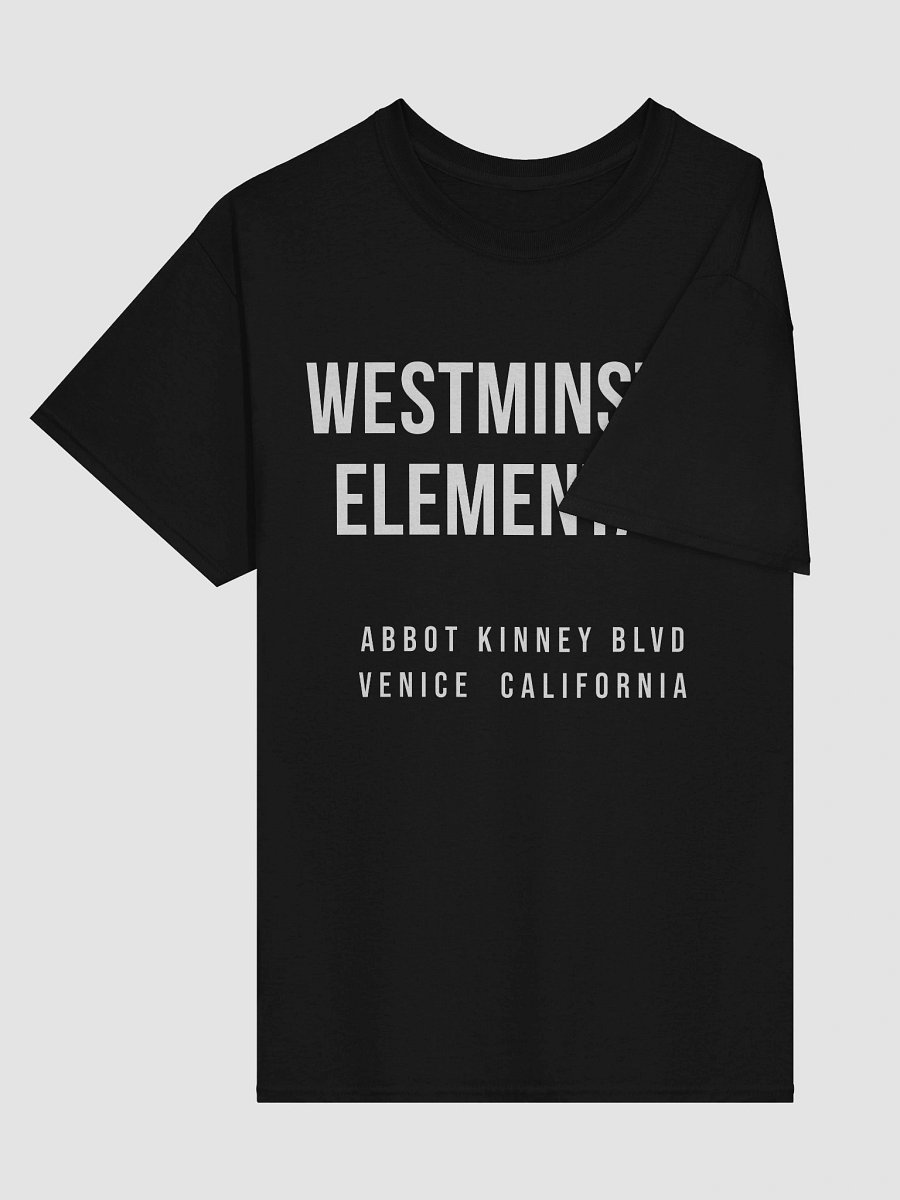 Adult Westminster Abbot Kinney - Heavyweight Tee product image (3)