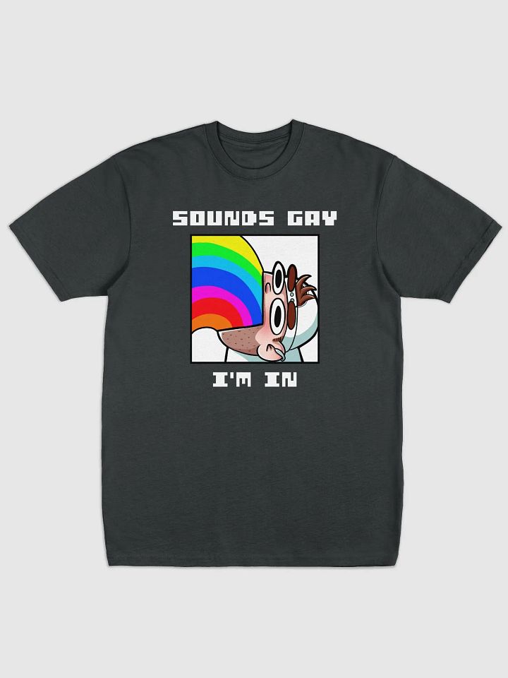 Sounds Gay I'm In Alt Premium Heavyweight Tee product image (1)
