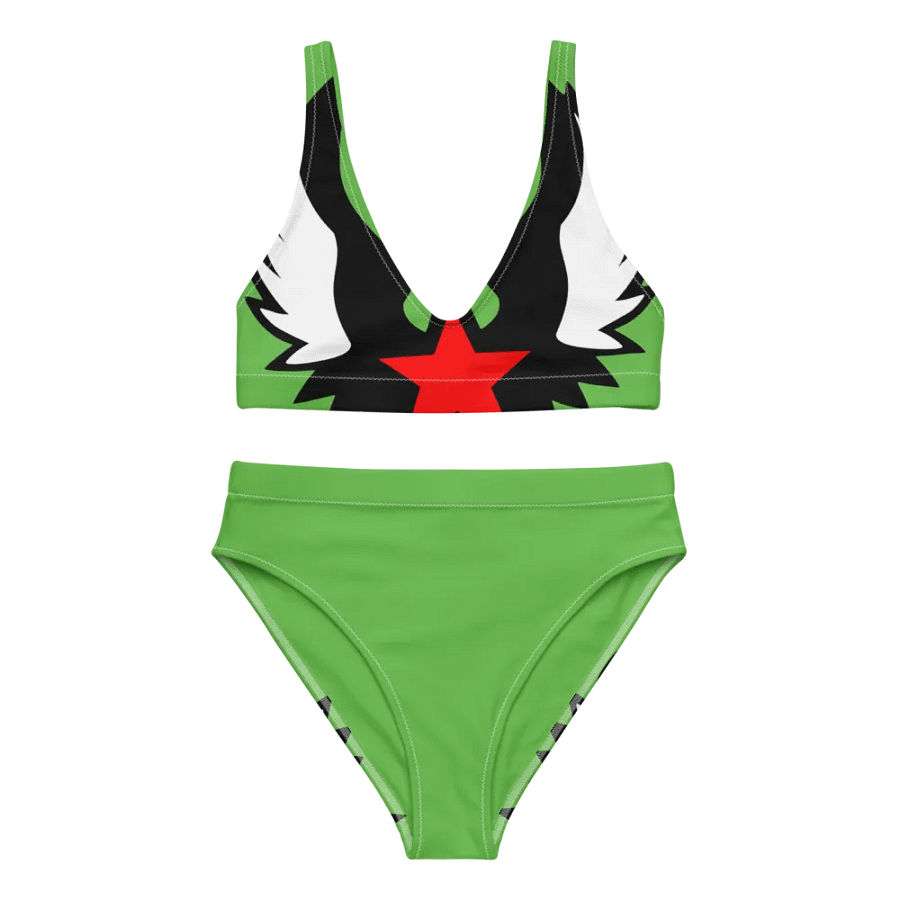 Symmetrical Star Wings High-Waisted Bikini product image (8)
