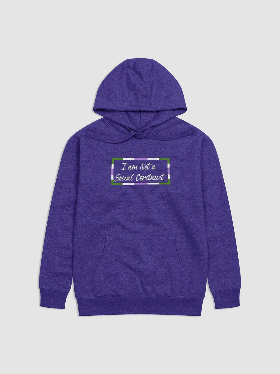 I am Not a Social Construct - Gender Queer - Hoodie product image (1)