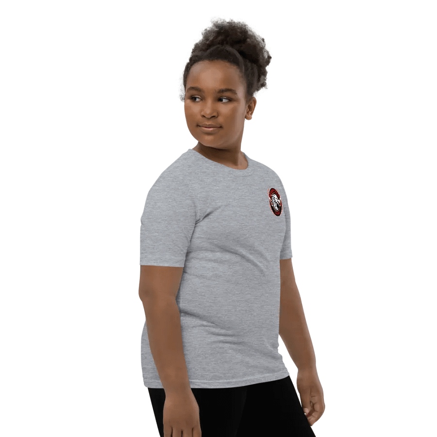 Dragonfire46 Gaming Official Youth Tee Merch product image (12)