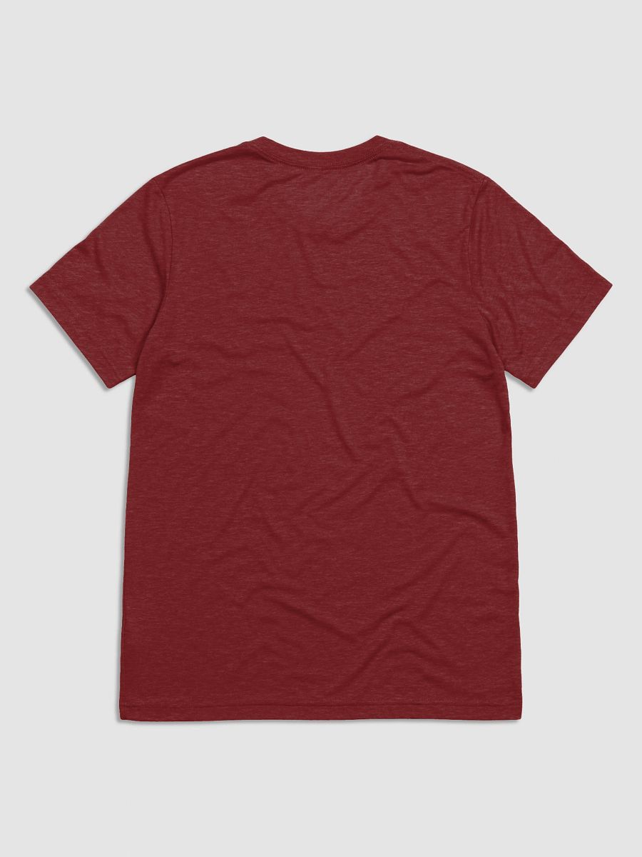 Invisible Elegance Tri-Blend Tee product image (26)