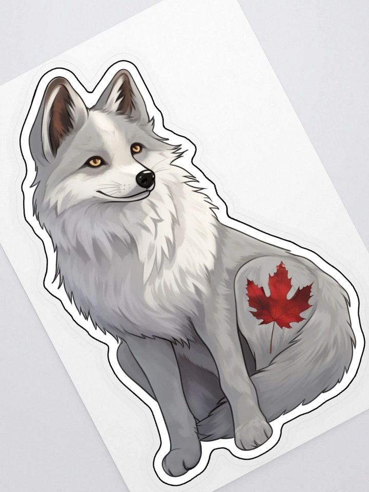 Canadian Marble Fox product image (2)