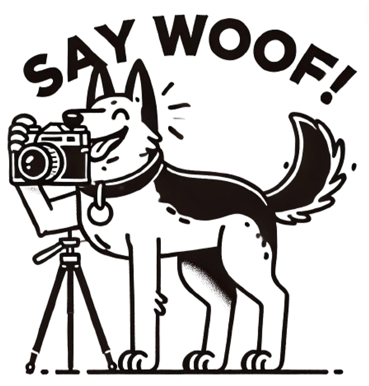 Say Woof: Dog Photographer in Action product image (1)