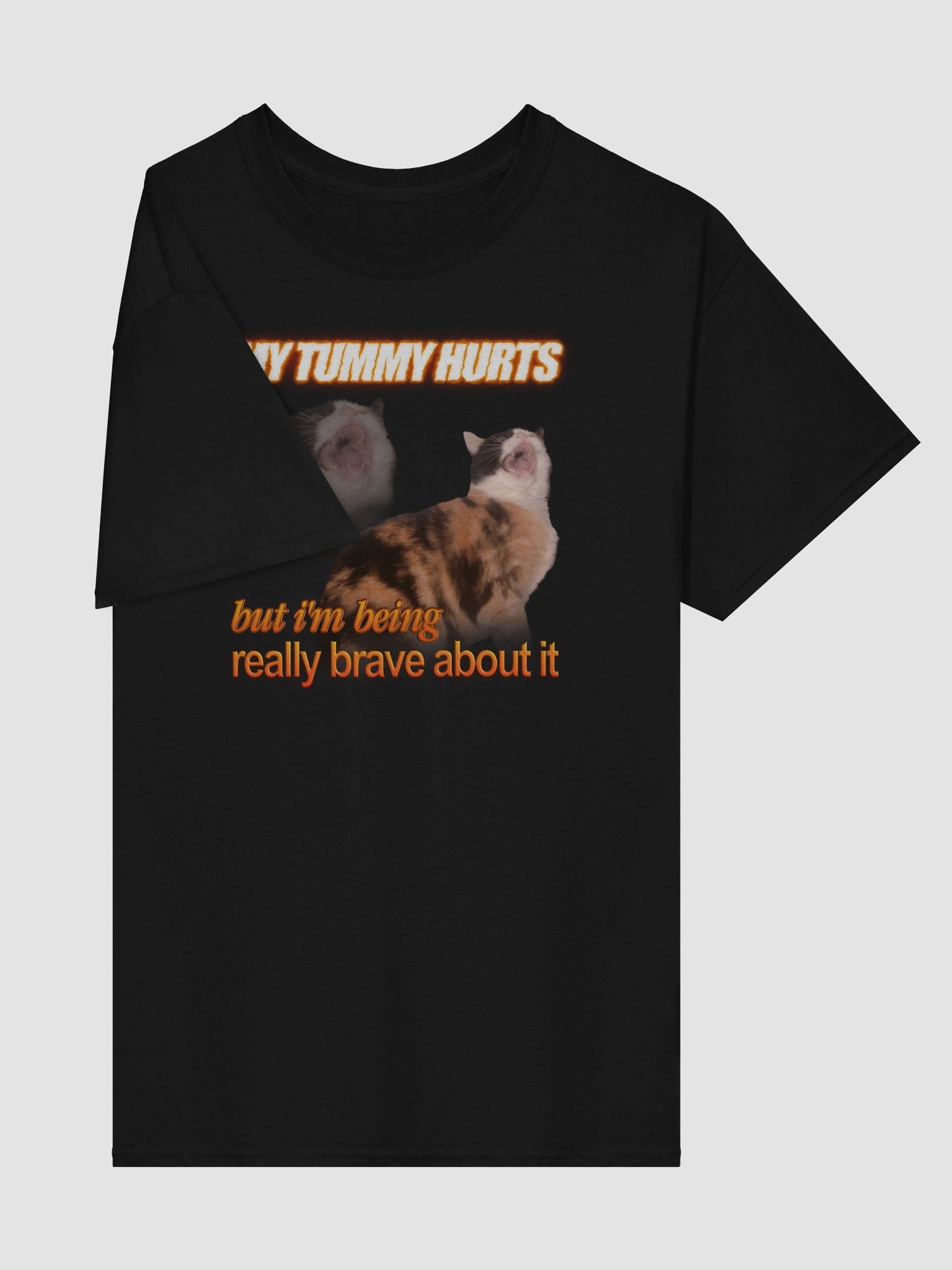 My Tummy Hurts and I'm Bring Really Brave - Cat T-shirt product image (65)