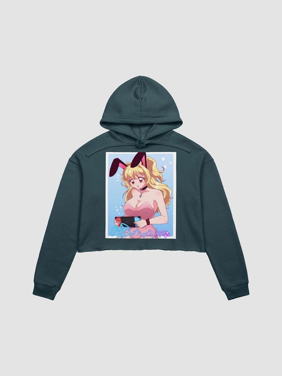 90's Meg Crop Hoodie product image (1)