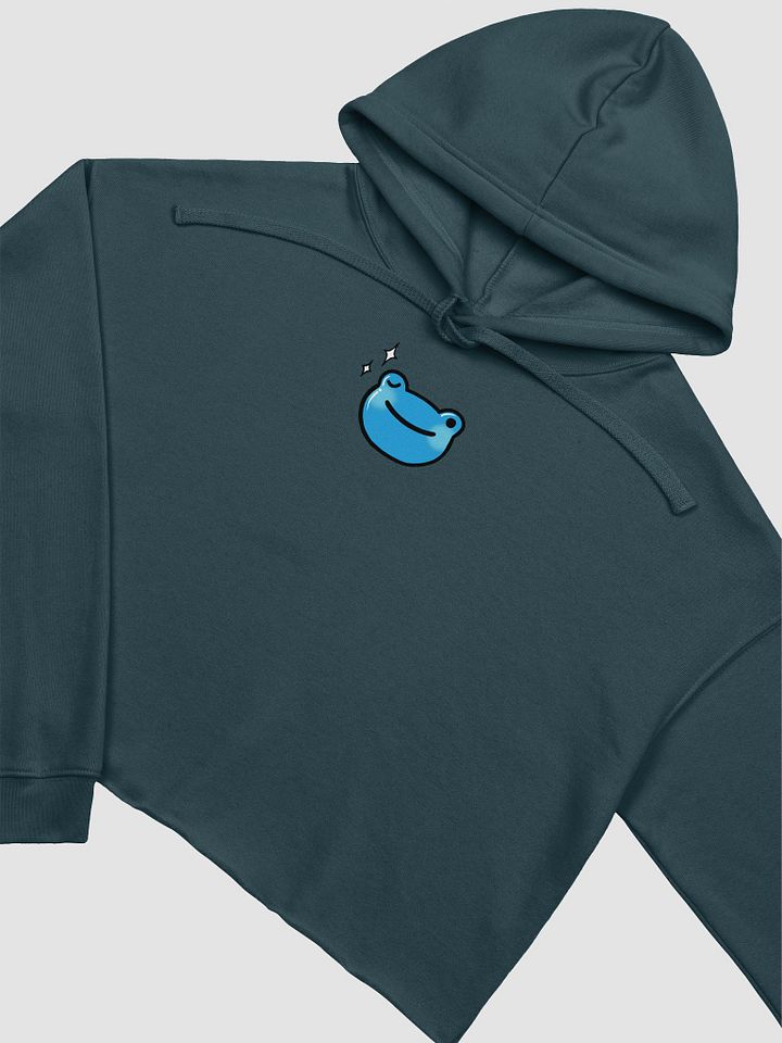 Wink Froge Crop Hoodie product image (1)