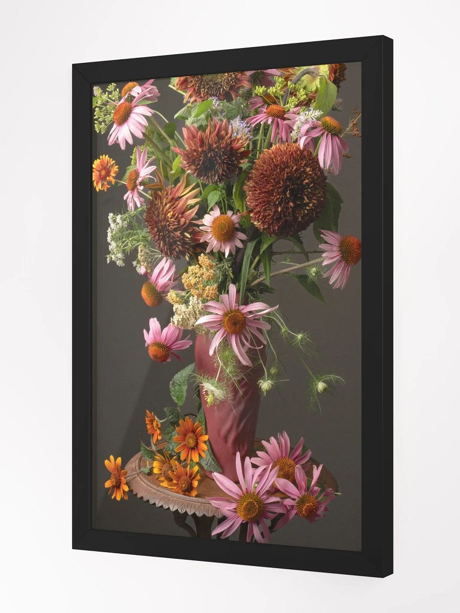 Echinacea Summer product image (3)