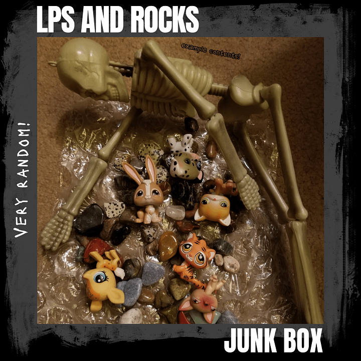 LPS and Rocks Junk Box product image (1)