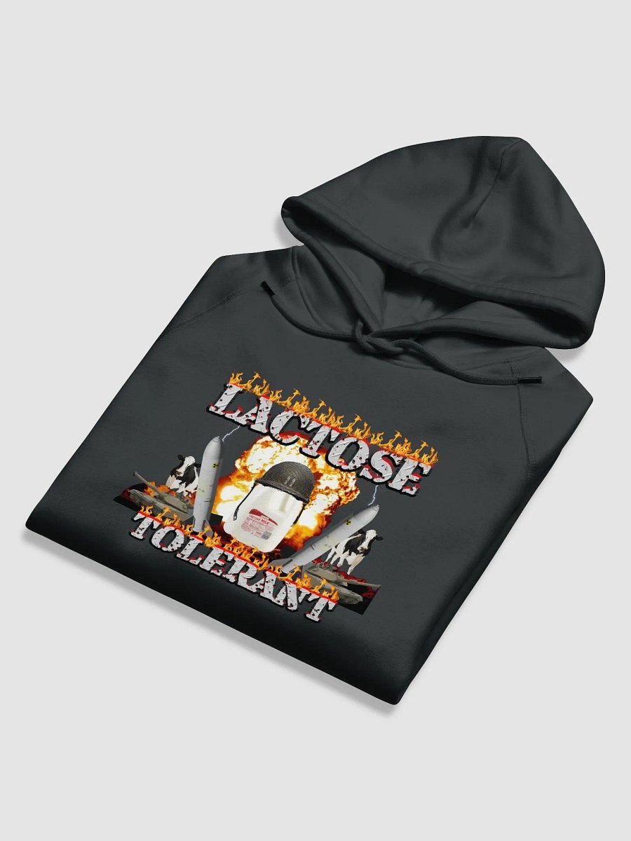 Lactose Tolerant Hoodie product image (10)