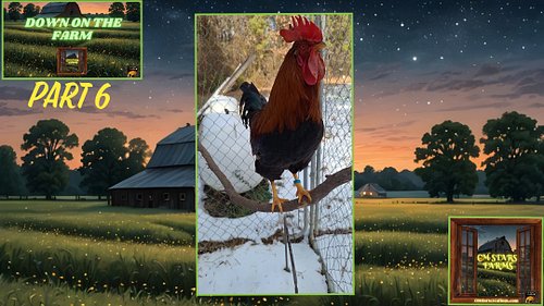 What's it like living with & caring for so many different animals, most of them being resuces? Well, check out our Down On Th...