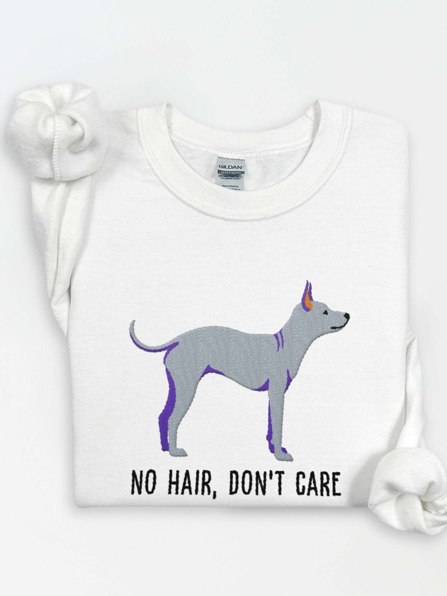 No Hair, Don't Care Sweatshirt (Embroidered) of an American Hairless Terrier(Blue) product image (1)
