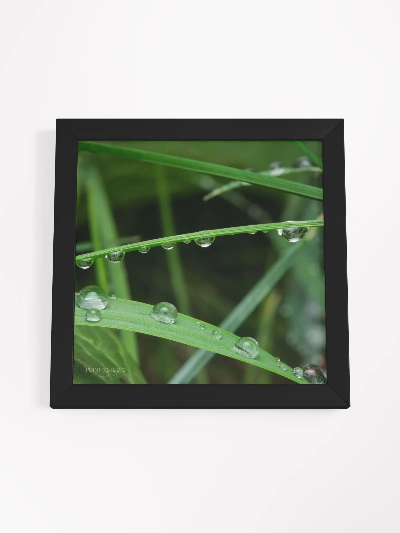 Dew Gems #9 - Framed Print product image (4)
