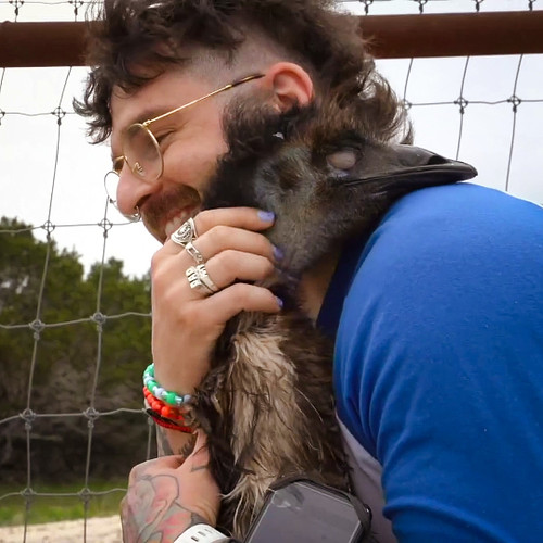 Stompy is getting all the best hugs this week

Thank you so much @juliensolomita for visiting 💚

Dink

#alveussanctuary #anim...