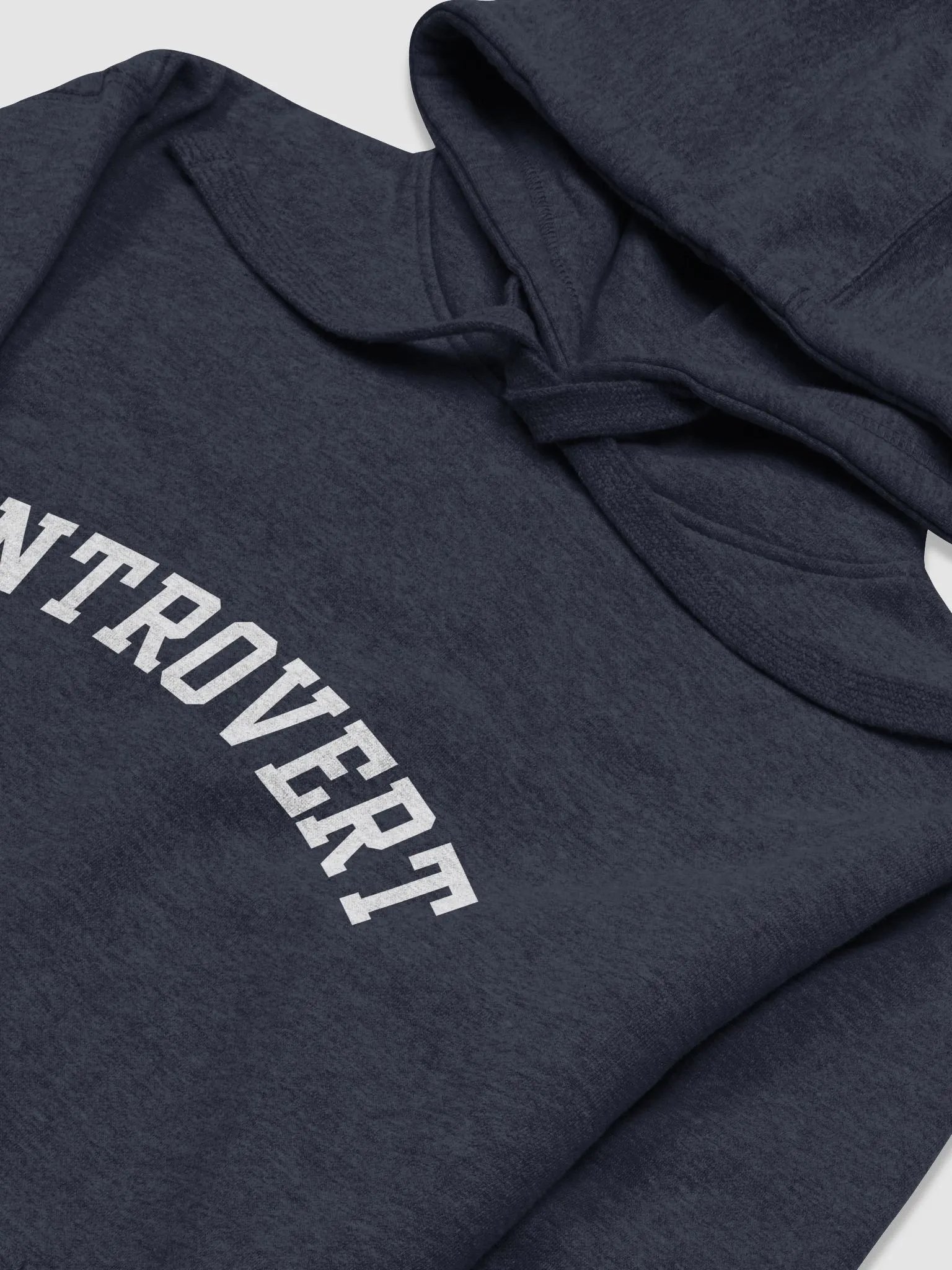 Introvert Hoodie product image (2)