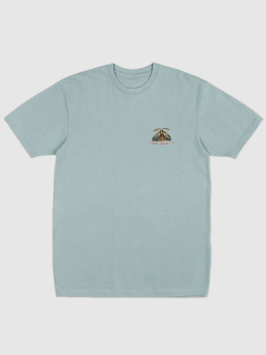Rebirth Tee (Blush Script) product image (2)
