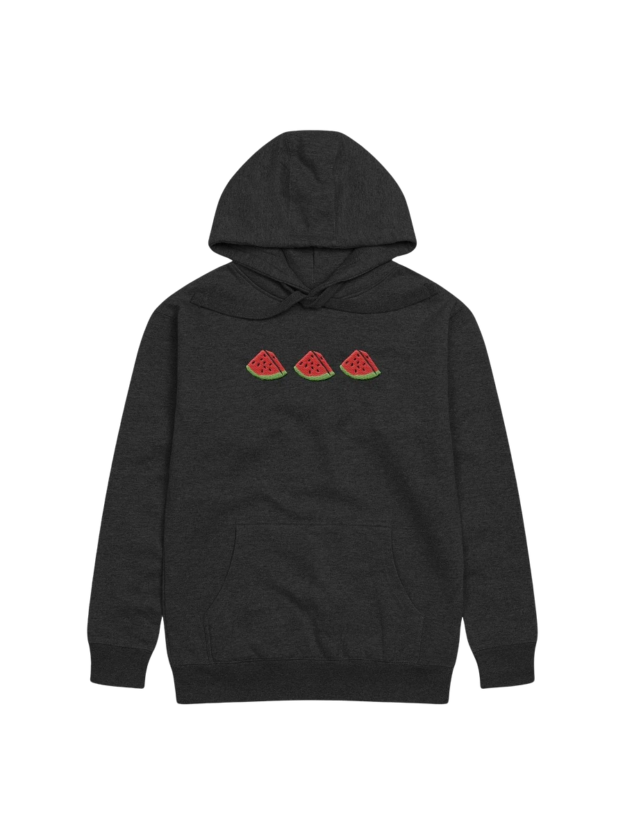 Sandia Embroidered Hoodie (black) product image (1)