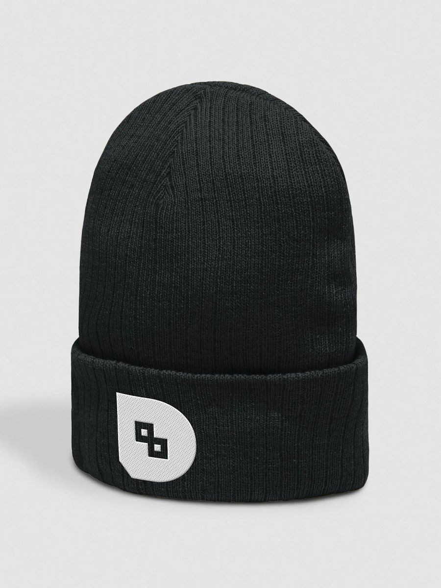 Danfinity Logo Beanie product image (2)