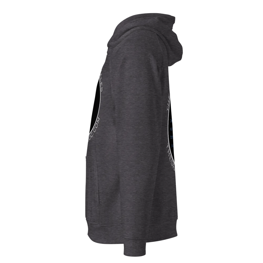 Dragon Doc Eco-Friendly Heavyweight Raglan Hoodie (Charcoal): Earth-Friendly, Dragon-Approved product image (2)