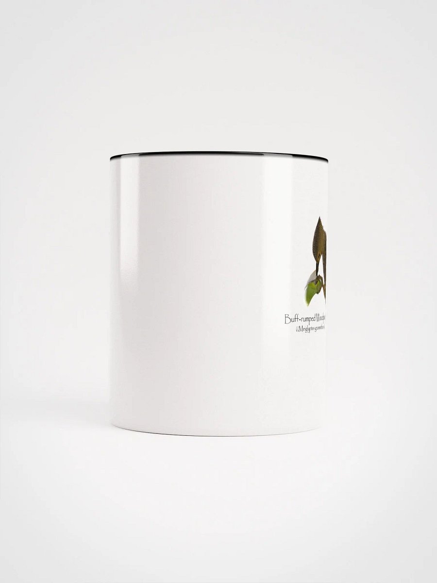 Buff-rumped Woodpecker mug product image (49)