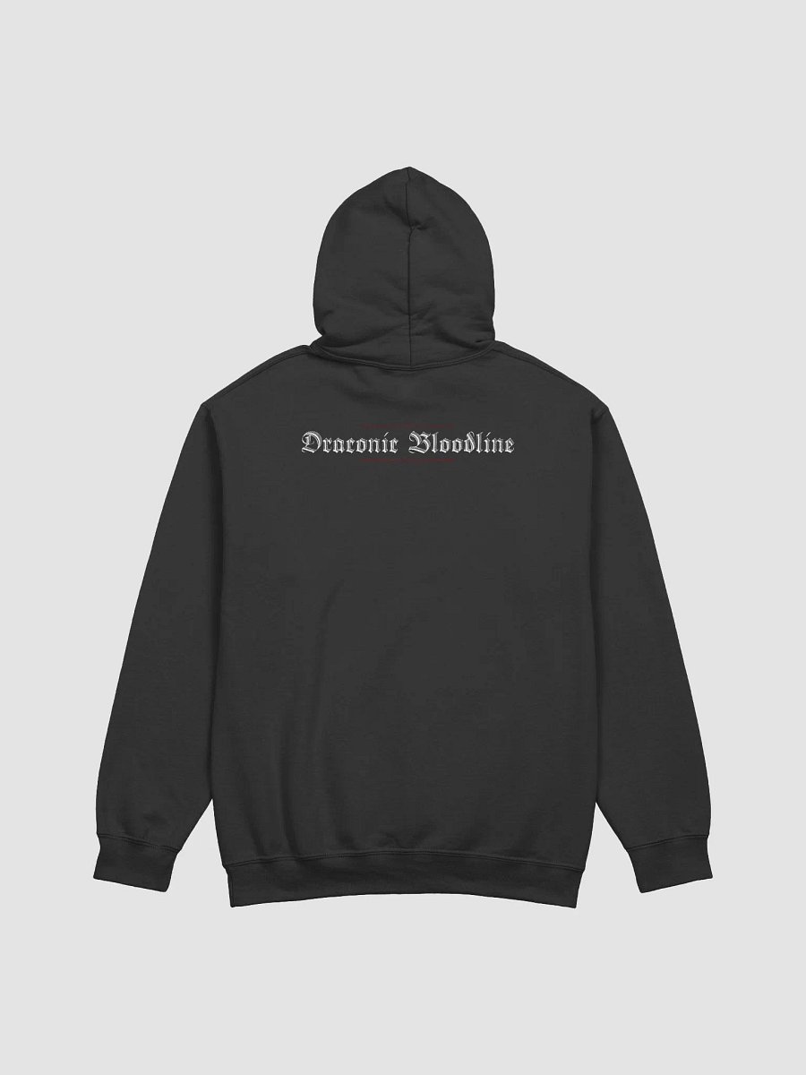 The Sorcerer Hoodie product image (4)