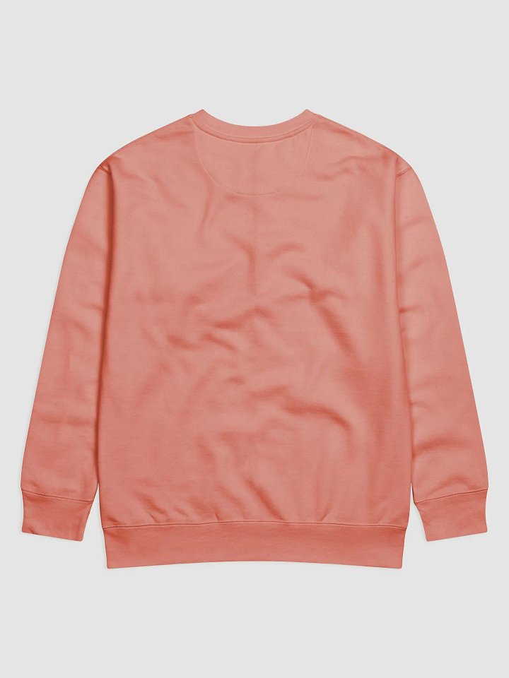 BB4L Holiday Sweatshirt product image (2)