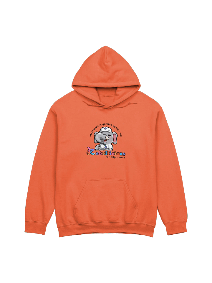 Gildan Classic Hoodie product image (1)