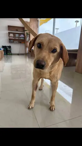 ° Pockie Update °

Our sweet wonky boy Pockie has been back to the vet (hopefully for the last time 😅) and has had every inch...