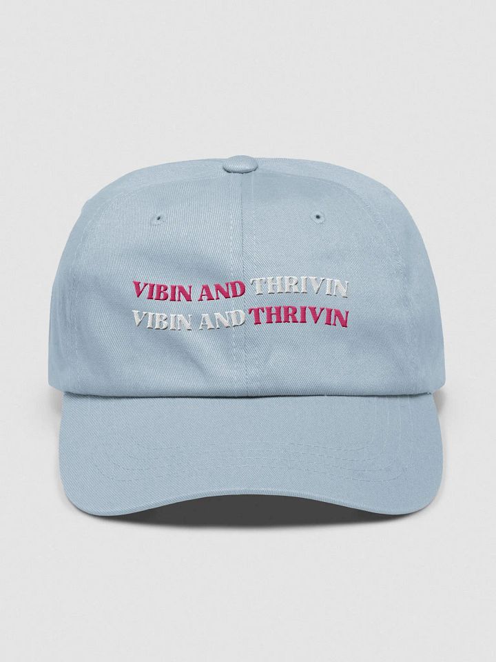SK8's Vibin and Thrivin Hat product image (1)