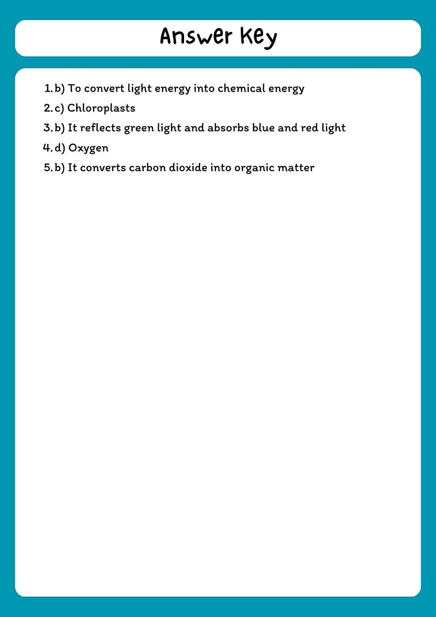 Photosynthesis Reading Comprehension Passage with Questions (PDF Download) product image (3)