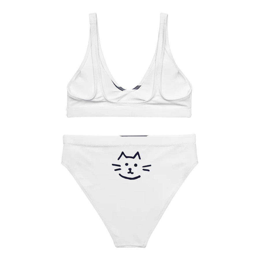 All-Over Print Recycled High Waisted Bikini product image (2)