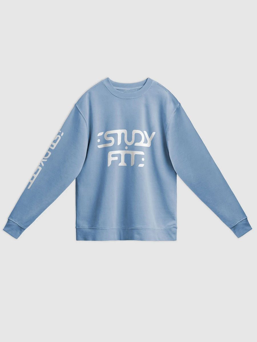 The Study Fit Pigment Dyed Sweatshirt product image (23)