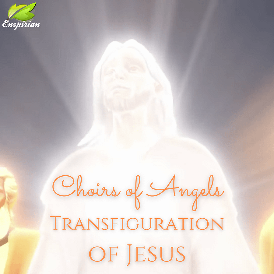 The Transfiguration of Jesus Christ product image (1)