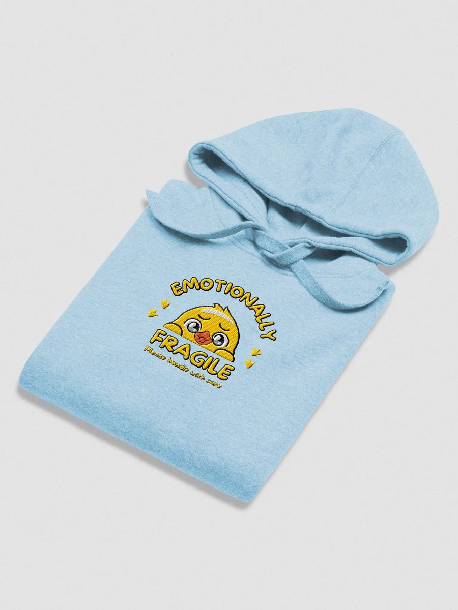 Embroided Emotionally Fragile Hoodie (Large Logo) product image (25)