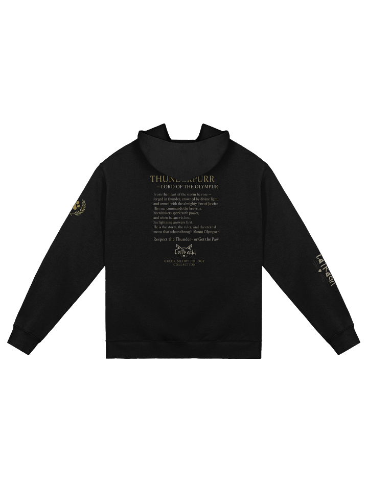 ZEUS THUNDERPURR PREMIUM HOODIE product image (2)